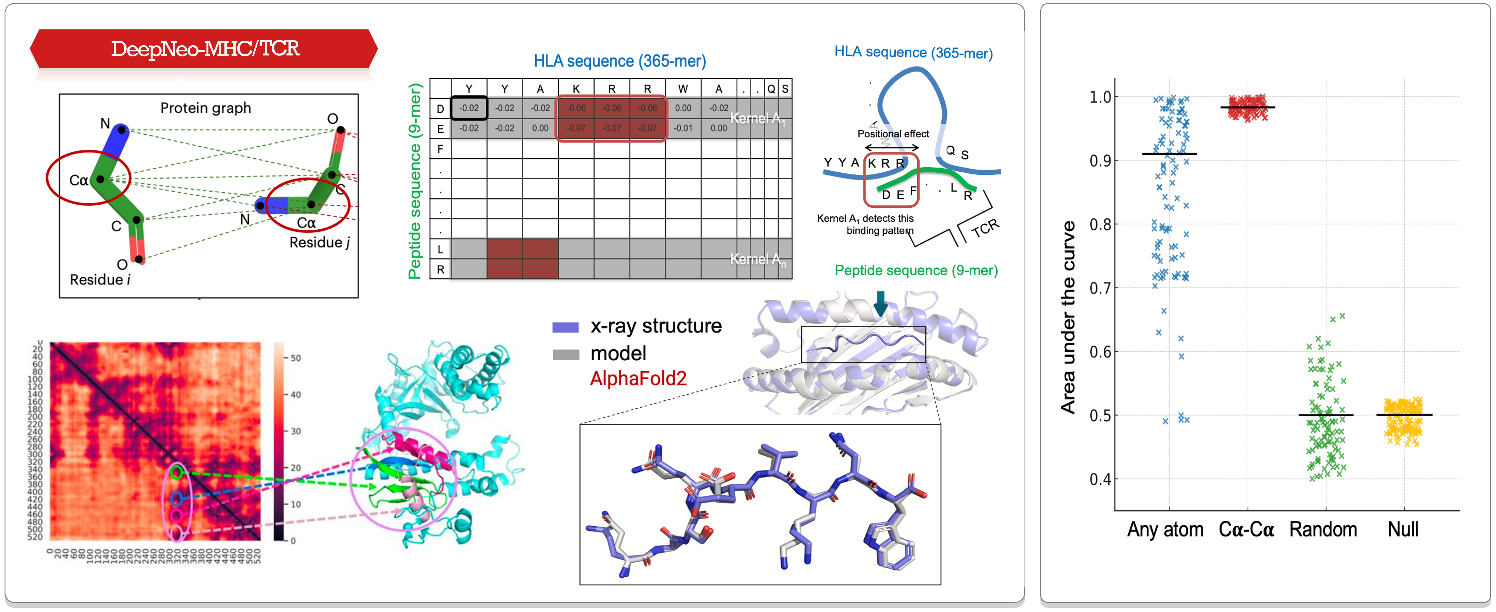 DeepNeo-MHC/TCR image 2